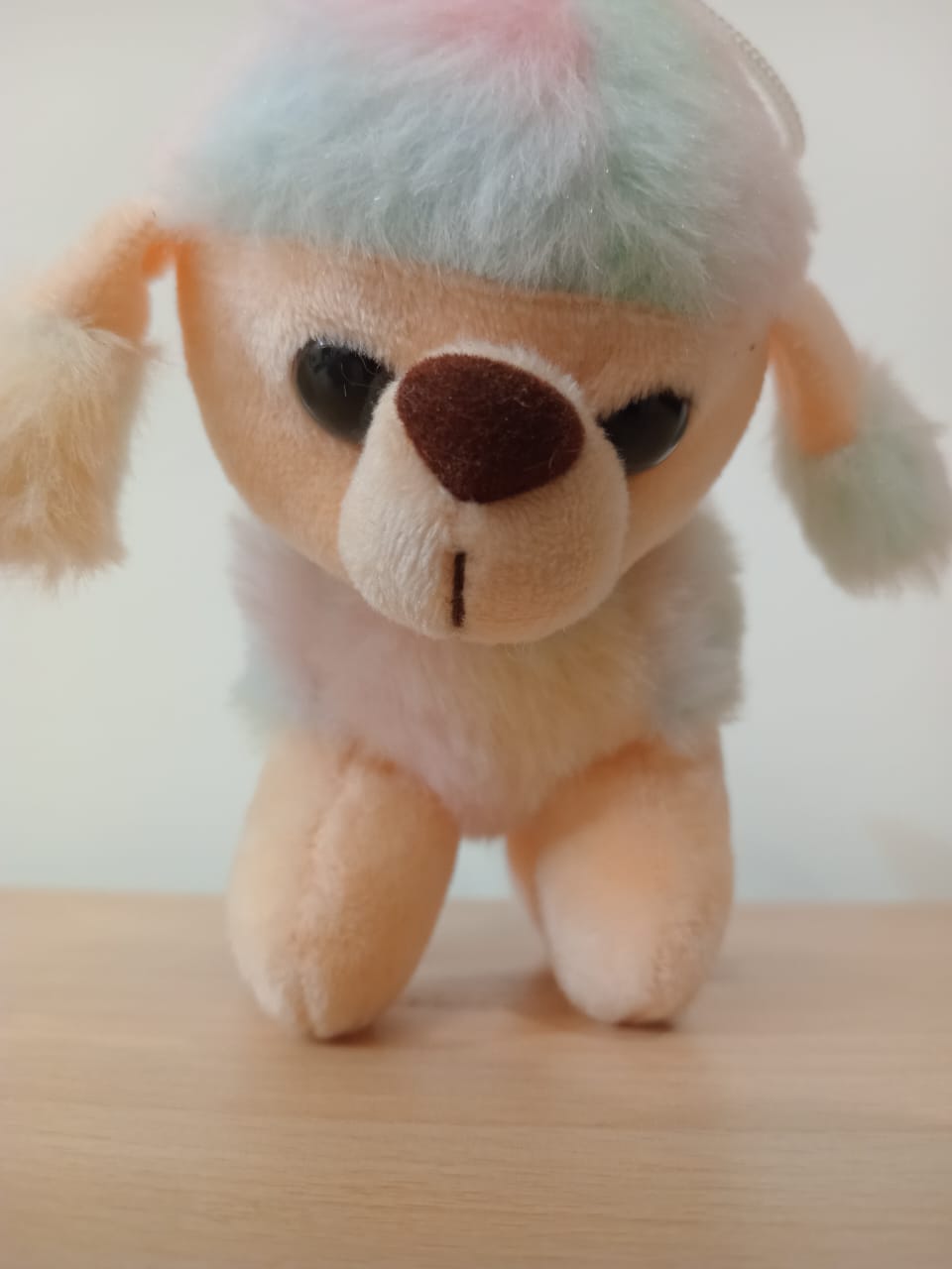 Small Dog Soft Toy (Rainbow)