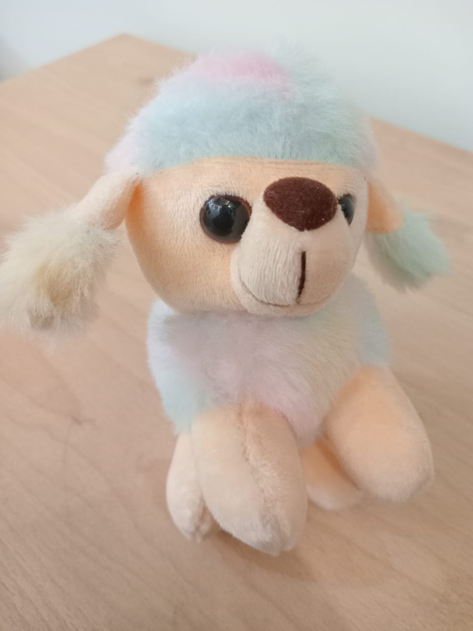 Small Dog Soft Toy (Rainbow)