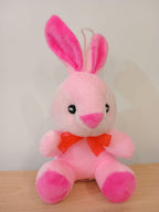 Small Rabbit Soft Toy (Pink)