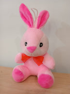Small Rabbit Soft Toy (Pink)