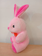 Small Rabbit Soft Toy (Pink)