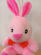 Small Rabbit Soft Toy (Pink)